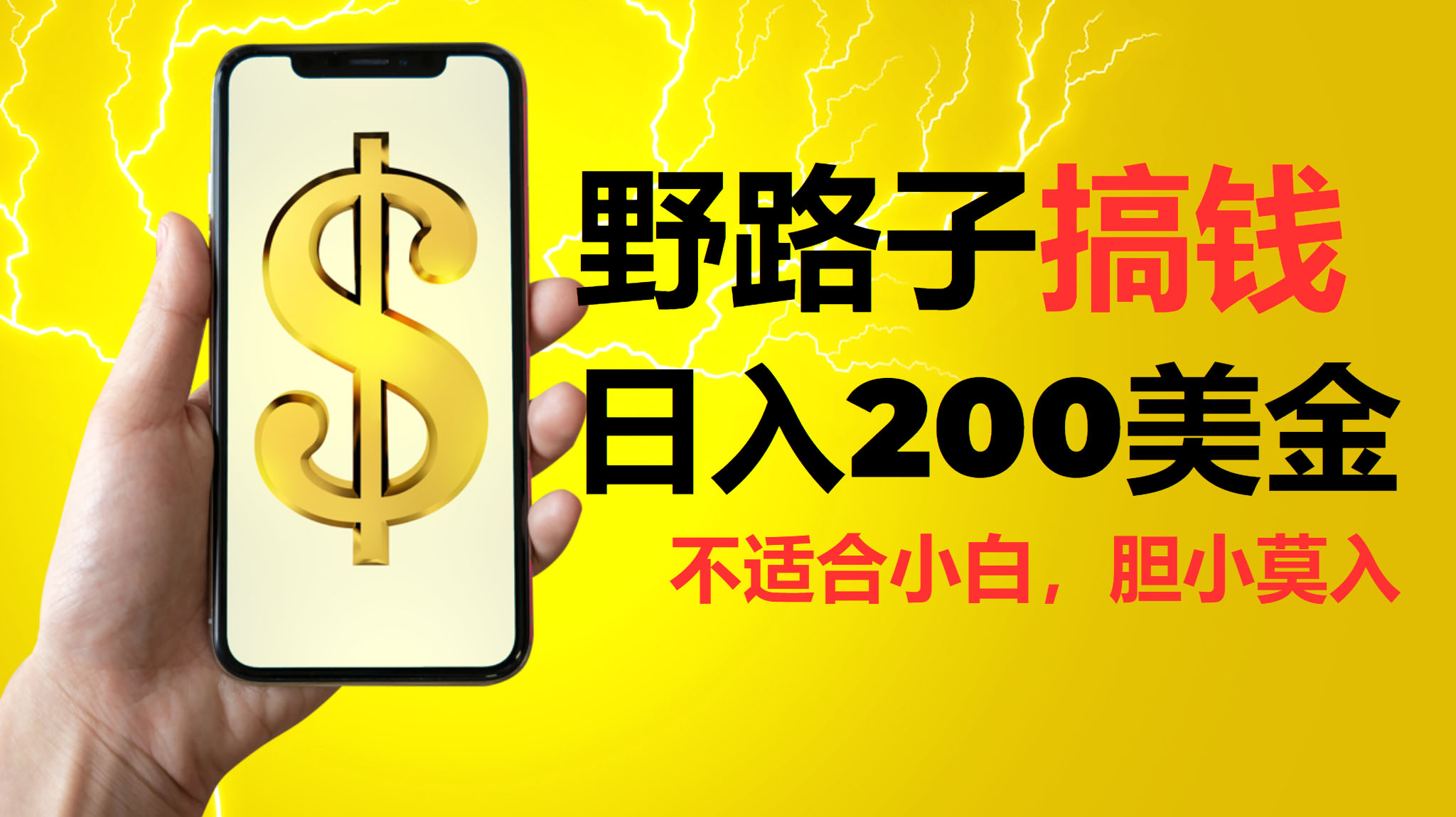 挂机野路子搞钱，日入200美金，路子很野，小白莫入-源码网